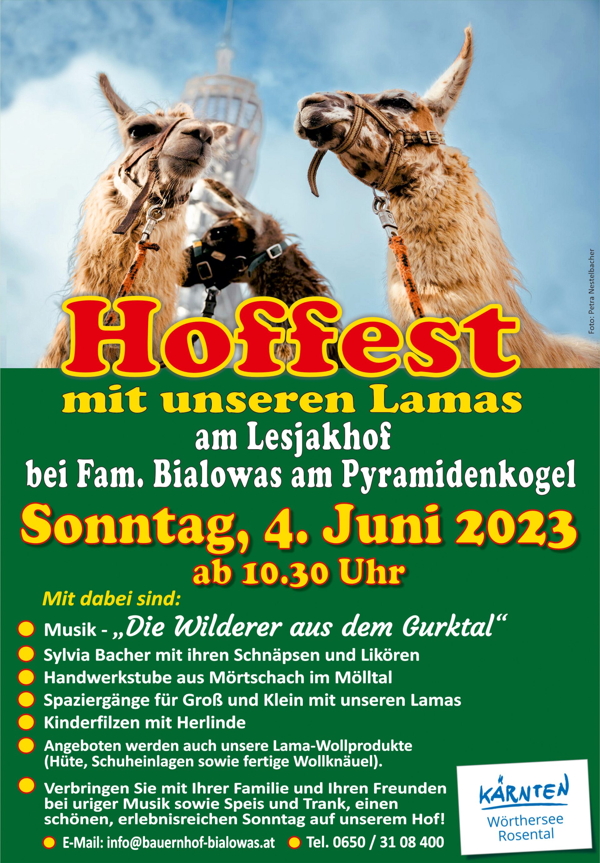 LAMAFEST-2023-akt. LAMAFEST-2023-akt.