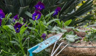 Gartenhilfe gesucht - wer arbeitet gerne in der Natur und alleine?