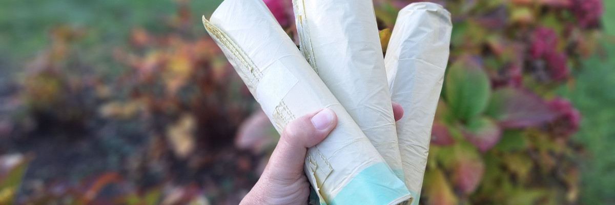 Herbstzeit ist Trennzeit