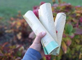 Herbstzeit ist Trennzeit