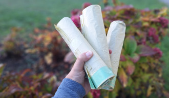 Herbstzeit ist Trennzeit