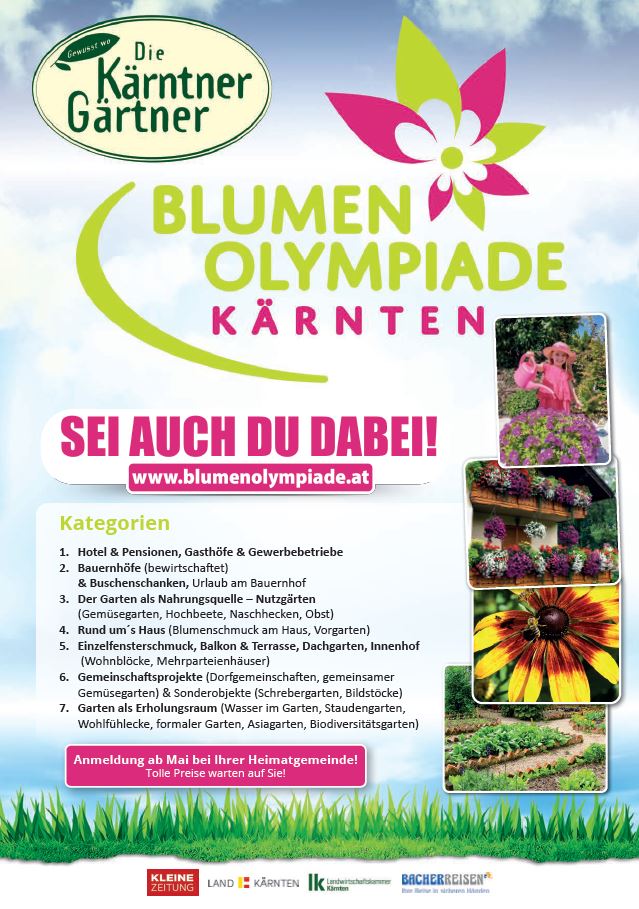 Blumen Blumen