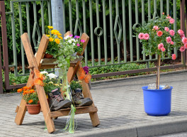 Terrasse mit Blumentröge