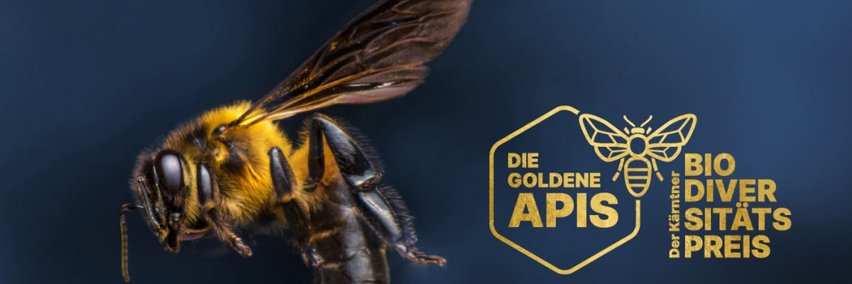Logo von golden APIS