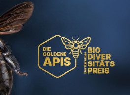Logo von golden APIS