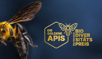 Logo von golden APIS