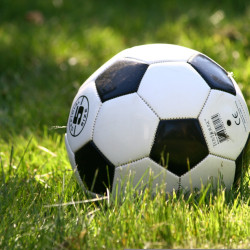 Fußball liegt im grünen Gras bei Sonnenschein auf einem Feld.