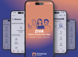 Ziva App Handy